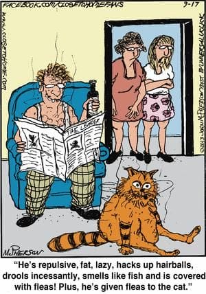 18-53 20 Best Daily Comics to Kickstart Your Day with Laughter