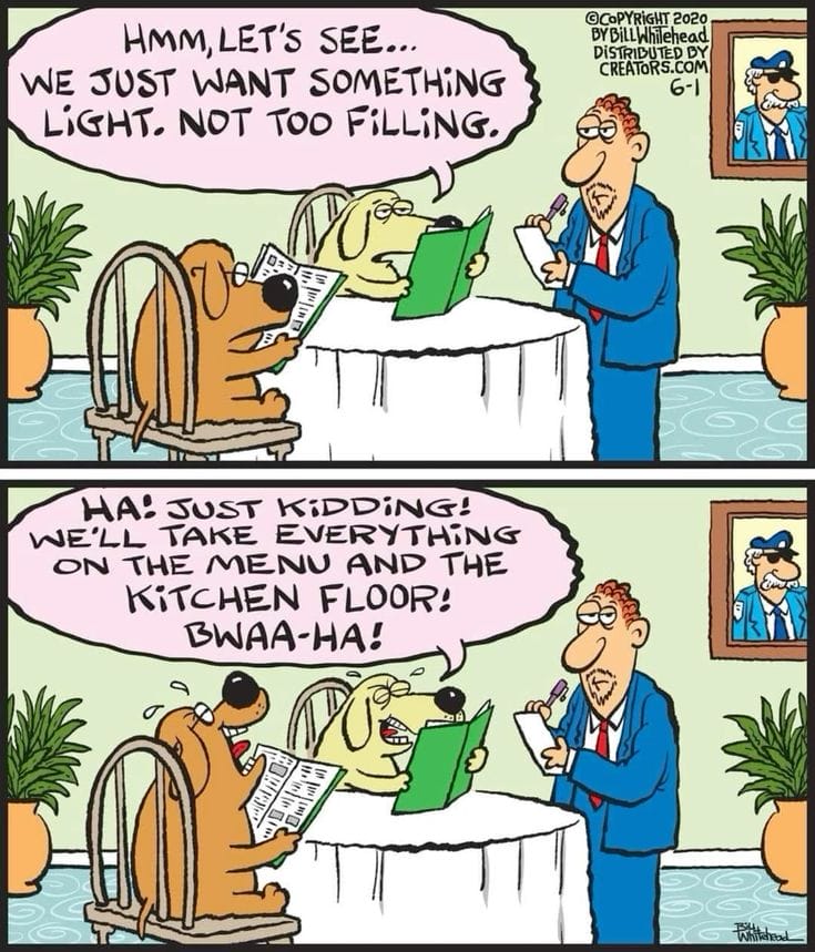 19-11 20 Hilarious Comics Packed with Witty Cartoon Humor You’ll Love
