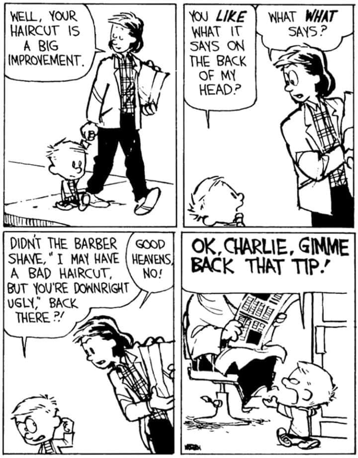 19-30 20 Best New Comics Featuring Calvin and Hobbes at Their Funniest