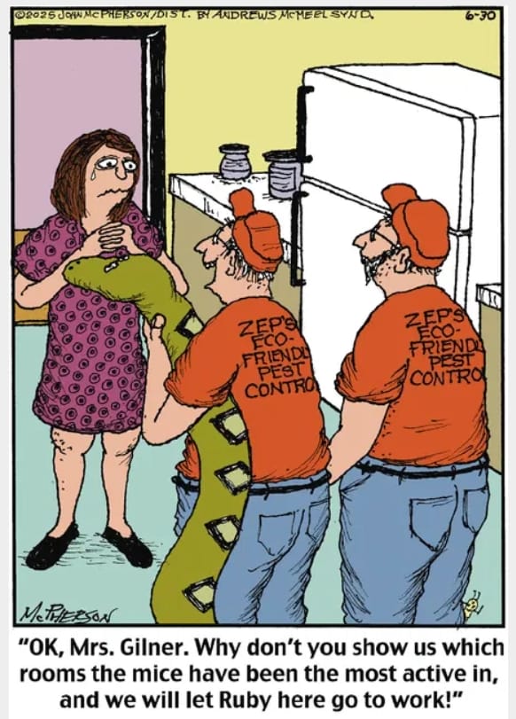 19-51 20 Best Daily Comics to Kickstart Your Day with Laughter