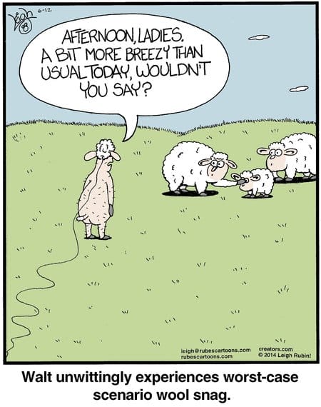 19 20 New Rubes Comics That Take Absurdity to the Next Level