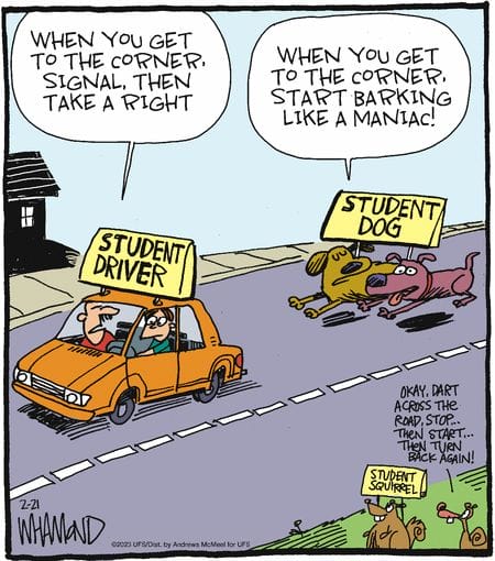 2-15 20 Epic Today Witty Cartoons That Perfectly Capture Everyday Life