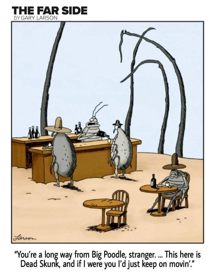 2-33 20 Hilarious New Far Side Humor Comics Reviewed with Witty Insight