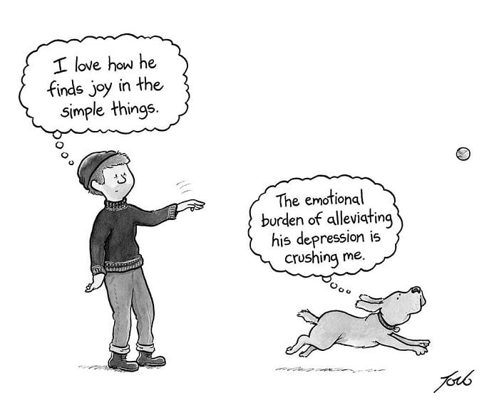 2-39 20 New Funniest Cartoons That Prove Humor Is the Best Therapy
