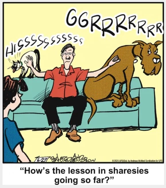 2-43 20 Hilarious Funny Dog Cartoons That Prove Marmaduke Is Top Dog