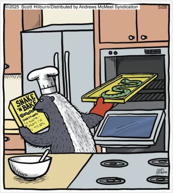 Daily Webcomics