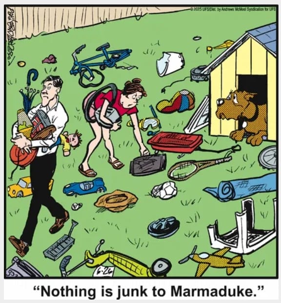 3-43 20 Hilarious Funny Dog Cartoons That Prove Marmaduke Is Top Dog