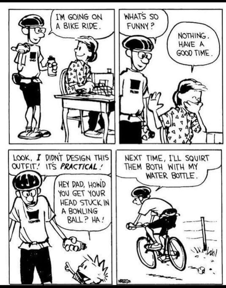 4-28 20 Best New Comics Featuring Calvin and Hobbes at Their Funniest