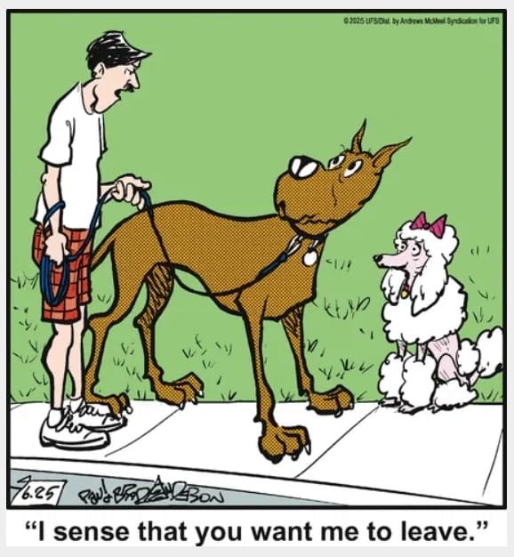 4-42 20 Hilarious Funny Dog Cartoons That Prove Marmaduke Is Top Dog