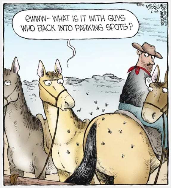 4-43 20 Best of Speed Bump Comics Packed with Dry Wit and Humor
