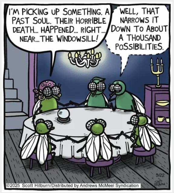 Daily Webcomics