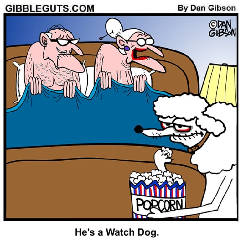 5-13 20 Hilarious Senior Humor Comics That Prove Seniors Have the Best Sense of Humor