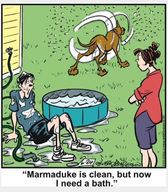 5-41 20 Hilarious Funny Dog Cartoons That Prove Marmaduke Is Top Dog