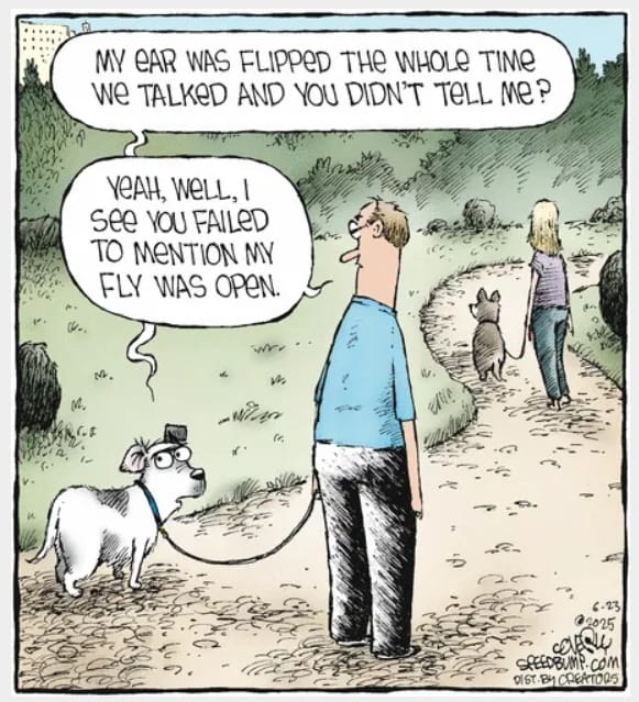 5-42 20 Best of Speed Bump Comics Packed with Dry Wit and Humor
