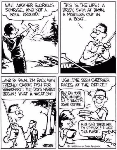 6-28 20 Best New Comics Featuring Calvin and Hobbes at Their Funniest