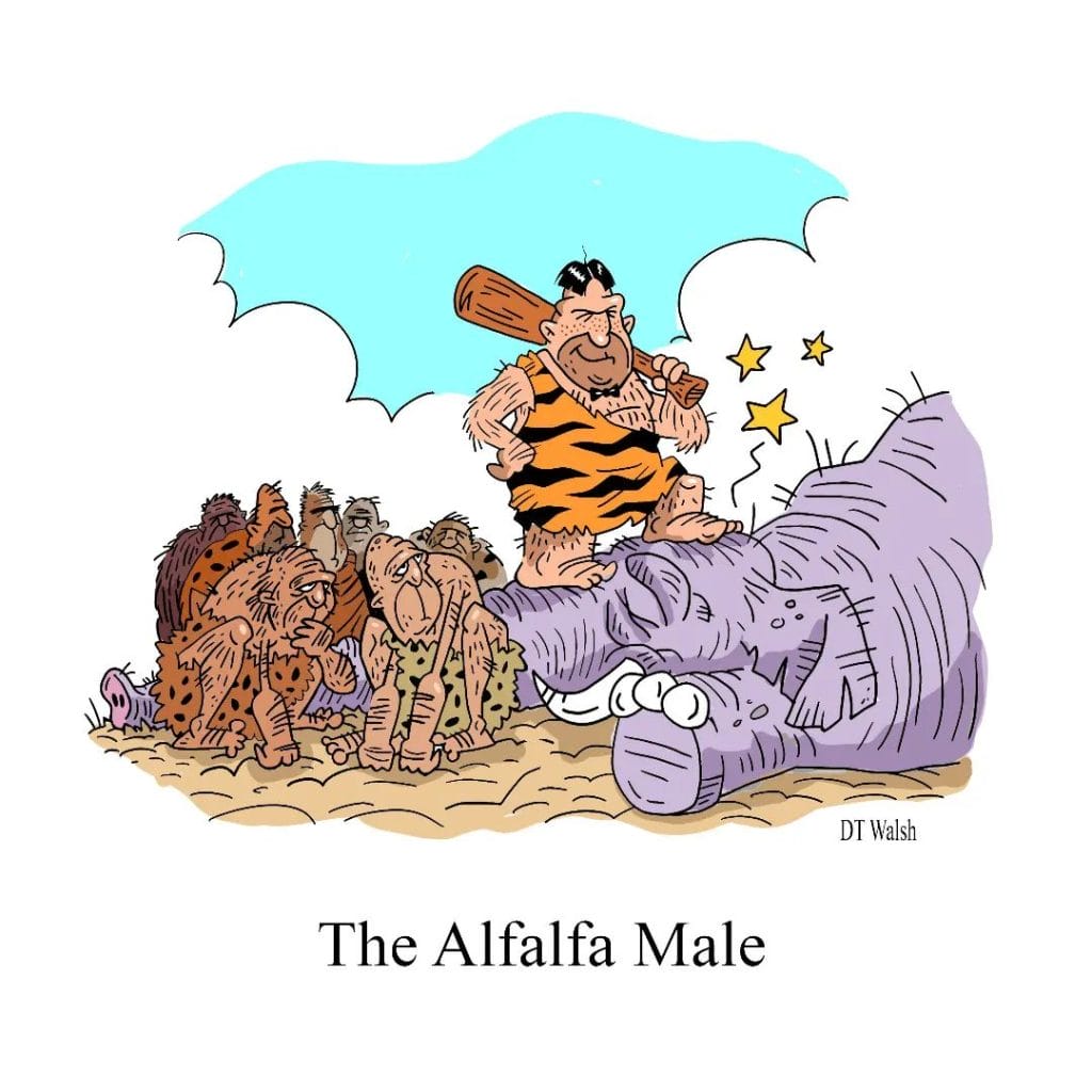 6-34-1024x1024 20 New Funniest Cartoons That’ll Be the Funniest Thing You See Today