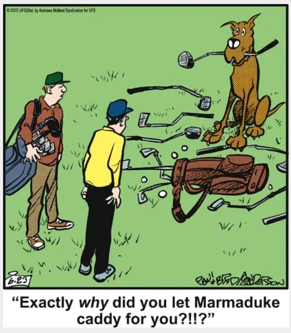6-43 20 Hilarious Funny Dog Cartoons That Prove Marmaduke Is Top Dog