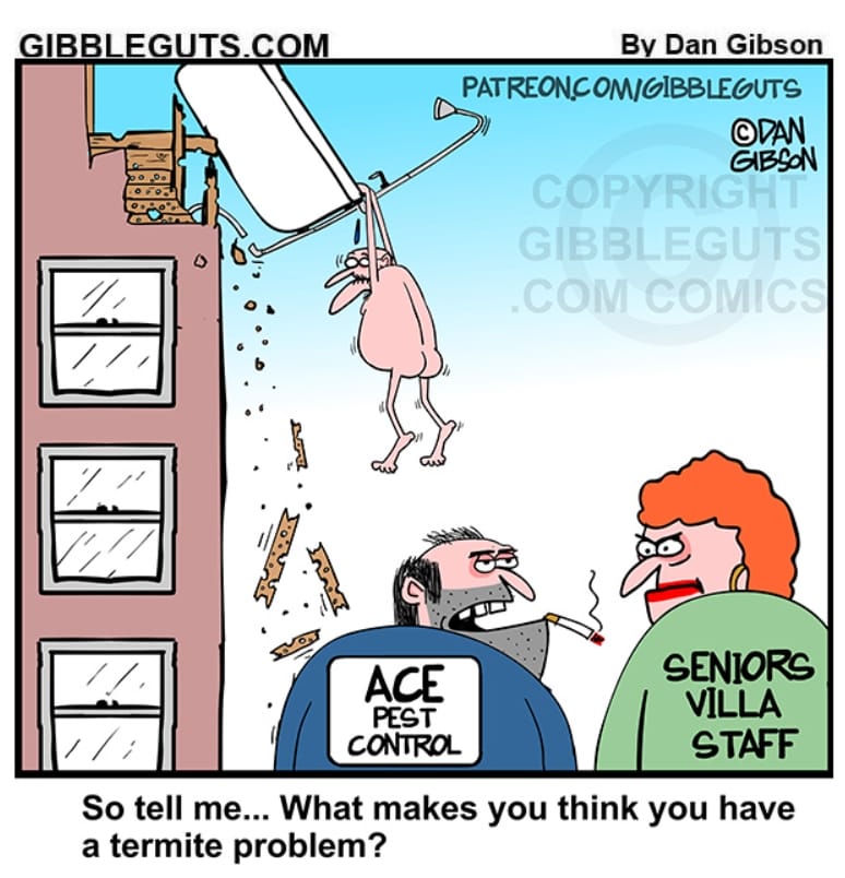 7-13 20 Hilarious Senior Humor Comics That Prove Seniors Have the Best Sense of Humor