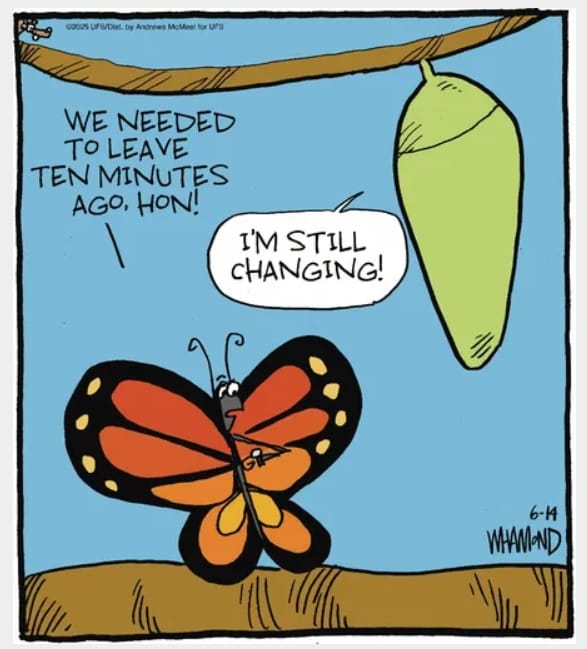 7-14 20 Epic Today Witty Cartoons That Perfectly Capture Everyday Life
