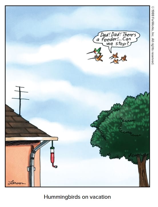 7-16 20 Best of The Far Side Cartoons That Prove Gary Larson Is a Legend