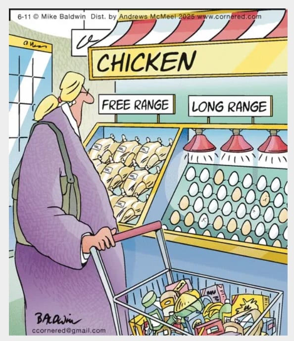 7-24 20 Relatable Cartoons by Mike Baldwin with a Dose of Witty Daily Humor