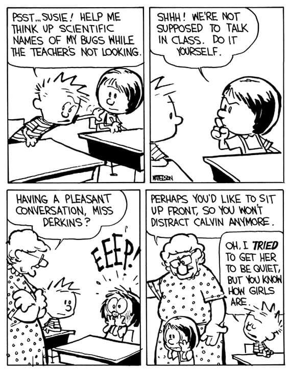 7-29 20 Best New Comics Featuring Calvin and Hobbes at Their Funniest