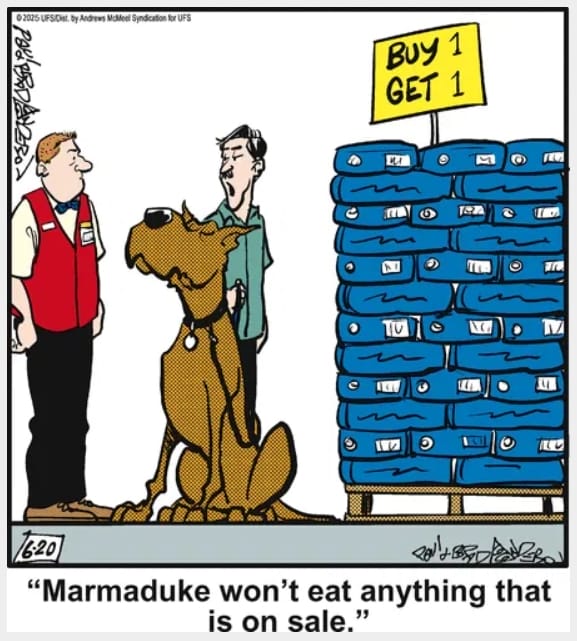 7-45 20 Hilarious Funny Dog Cartoons That Prove Marmaduke Is Top Dog