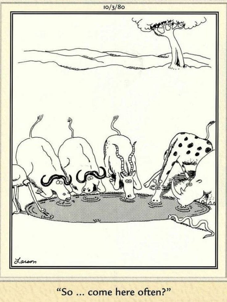 8-16 20 Best of The Far Side Cartoons That Prove Gary Larson Is a Legend