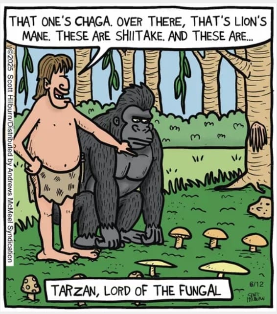 8-25 20 New Dark Humor Comics by Scott Hilburn That Redefine Twisted Laughs