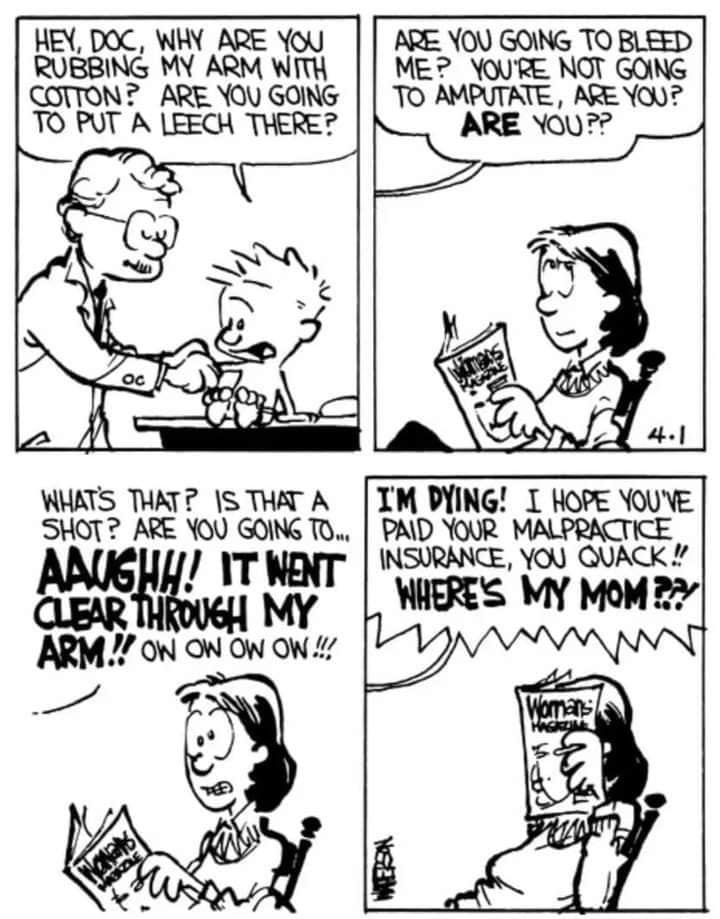8-28 20 Best New Comics Featuring Calvin and Hobbes at Their Funniest