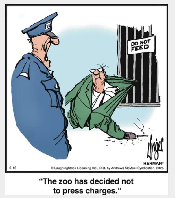 8-33 The Funniest 20 Best New Comics You’ll See This Year