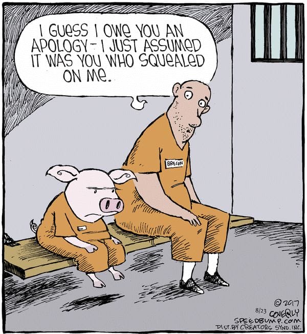 8-44 20 Best of Speed Bump Comics Packed with Dry Wit and Humor