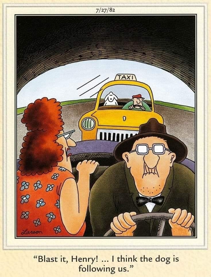9-16 20 Best of The Far Side Cartoons That Prove Gary Larson Is a Legend