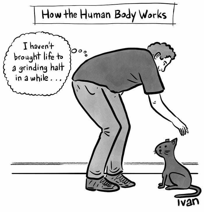 9-21 20 Ivan Ehlers Daily Humor Comics That Perfectly Nail Everyday Absurdity