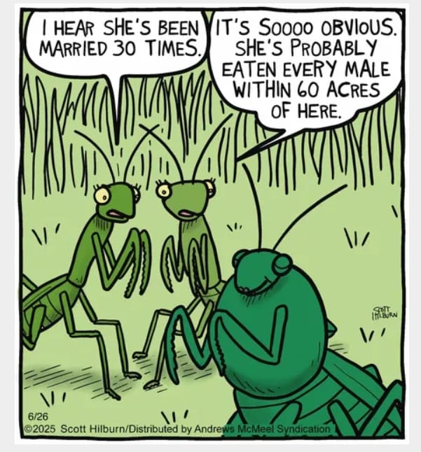 9-36 20 Dark Cartoons by Scott Hilburn That Prove Humor Has No Limits