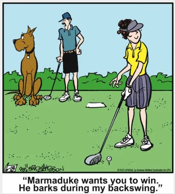 9-43 20 Hilarious Funny Dog Cartoons That Prove Marmaduke Is Top Dog