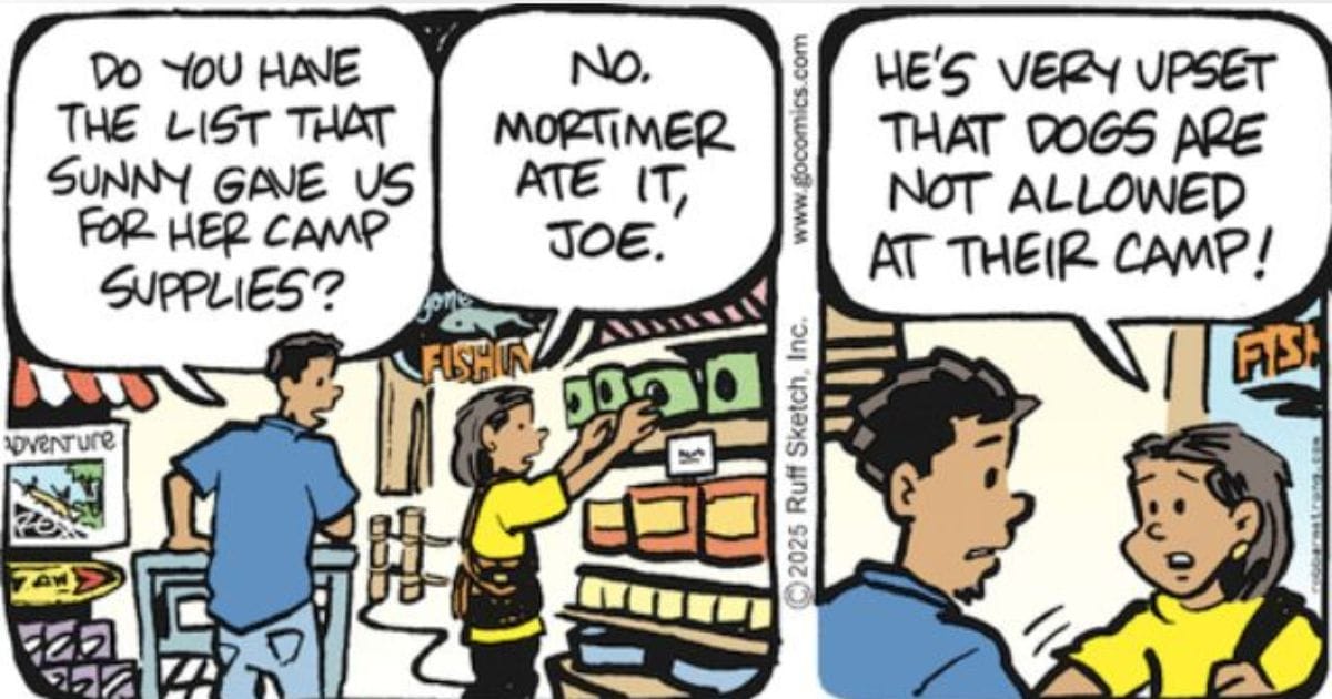 Latest Dad Jokes