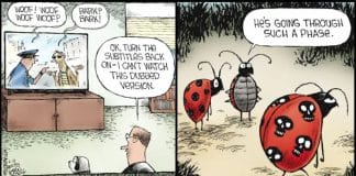 New Funny Cartoons