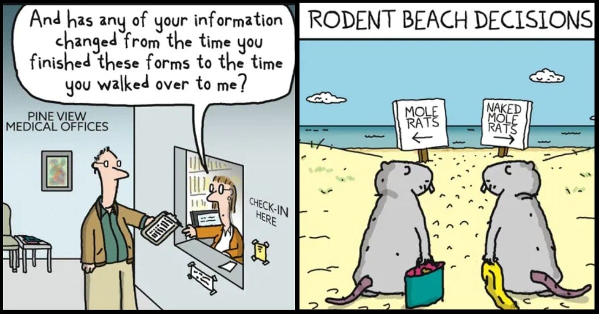 New Witty Comics