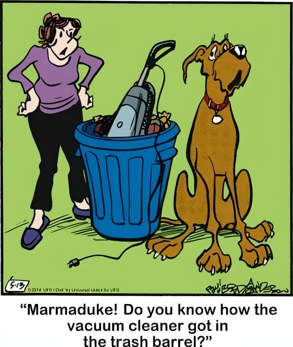 a98ceb0e-b354-4bc0-a9e9-fb45f1541325 20 Hilarious Funny Dog Cartoons That Prove Marmaduke Is Top Dog
