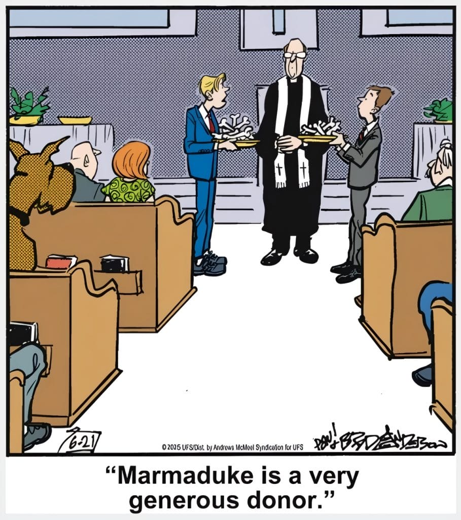be114d54-7074-4799-851b-7b2f076c3ca8-909x1024 20 Hilarious Funny Dog Cartoons That Prove Marmaduke Is Top Dog
