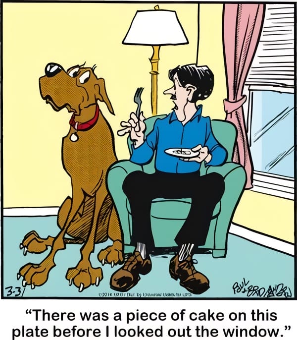 e15d578c-8d7a-46e9-86f6-e4b1c47f0be9 20 Hilarious Funny Dog Cartoons That Prove Marmaduke Is Top Dog
