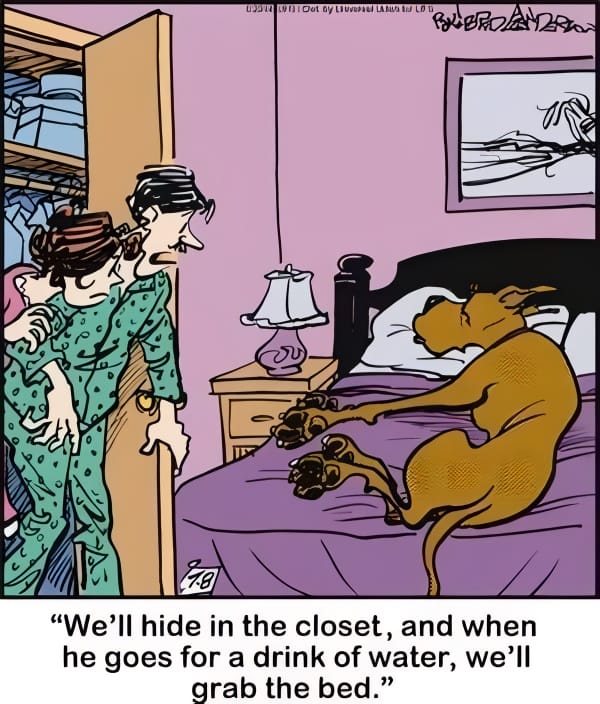 fa70913b-bd0a-4a8c-8350-5c31587e7519 20 Hilarious Funny Dog Cartoons That Prove Marmaduke Is Top Dog