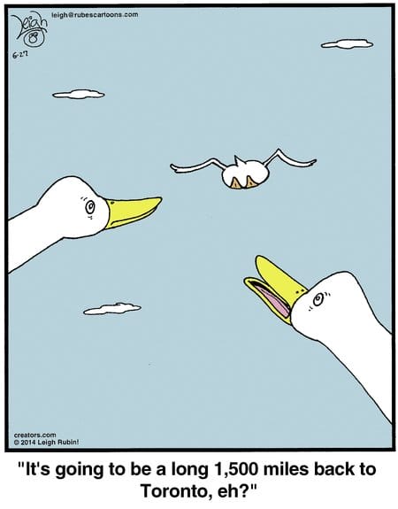 1 20 Best Rubes Cartoons That Turn Everyday Moments into Comedy