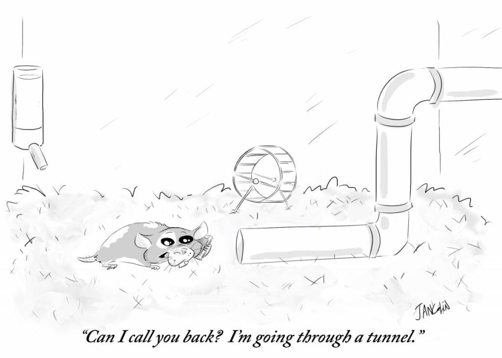 11-16-1024x731 20 Daily Humor Comics Review Prepare for Big Laughs!
