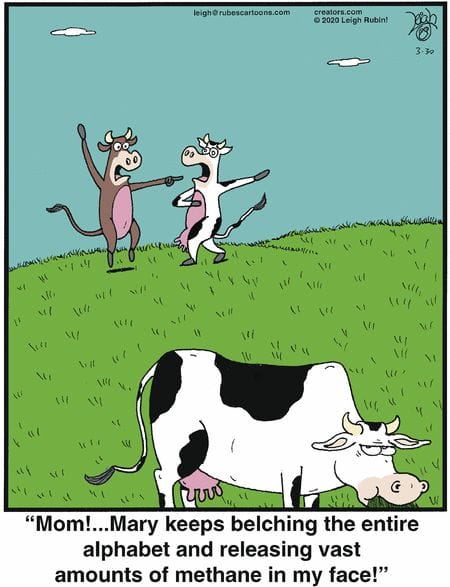 11-8 20 Best Rubes Cartoons That Turn Everyday Moments into Comedy