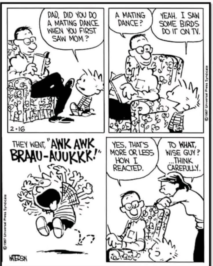 12 20 Hilarious Calvin and Hobbes Comics That Still Make Us Laugh Today
