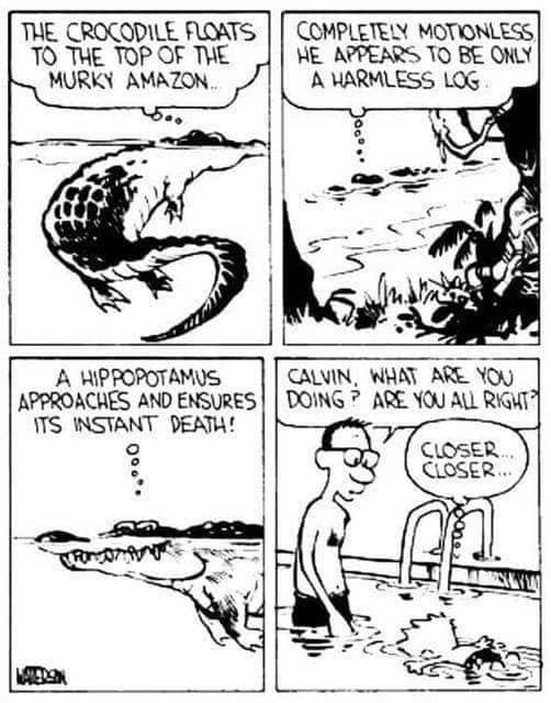 14 20 Hilarious Calvin and Hobbes Comics That Still Make Us Laugh Today