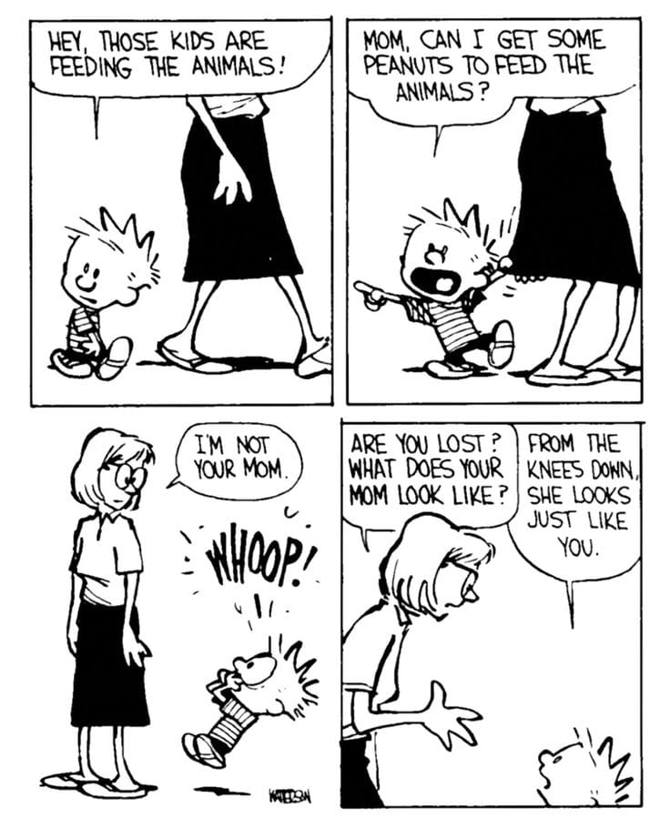 16 20 Hilarious Calvin and Hobbes Comics That Still Make Us Laugh Today