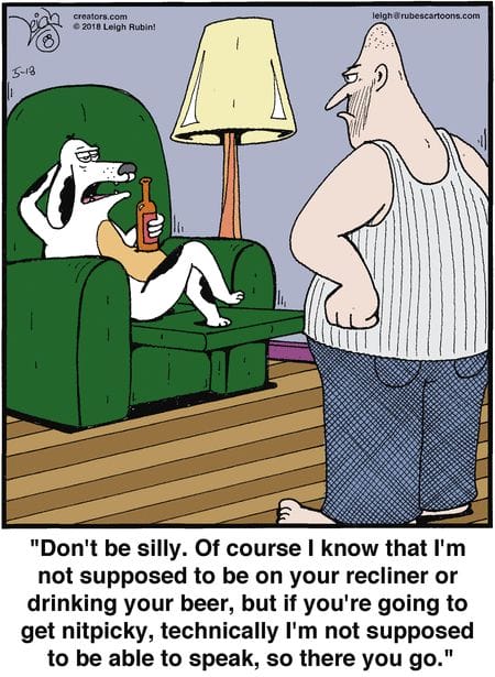 18-7 20 Best Rubes Cartoons That Turn Everyday Moments into Comedy